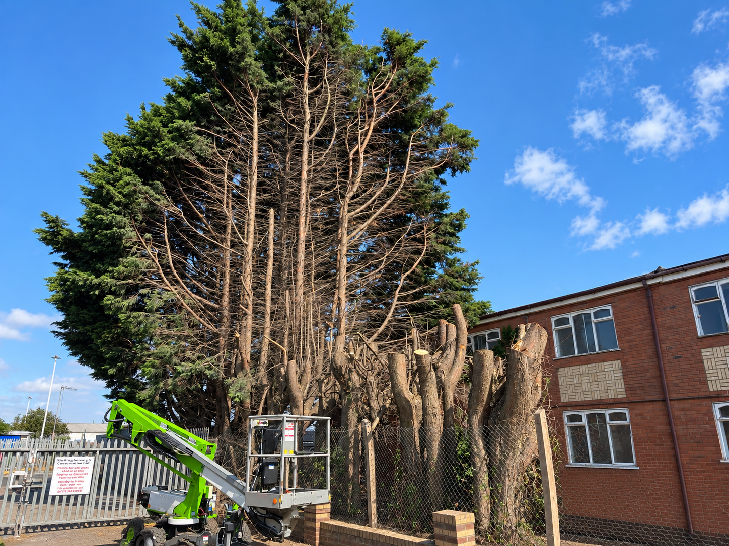 RSM Tree Services carrying out commercial tree work with specialist access equipment