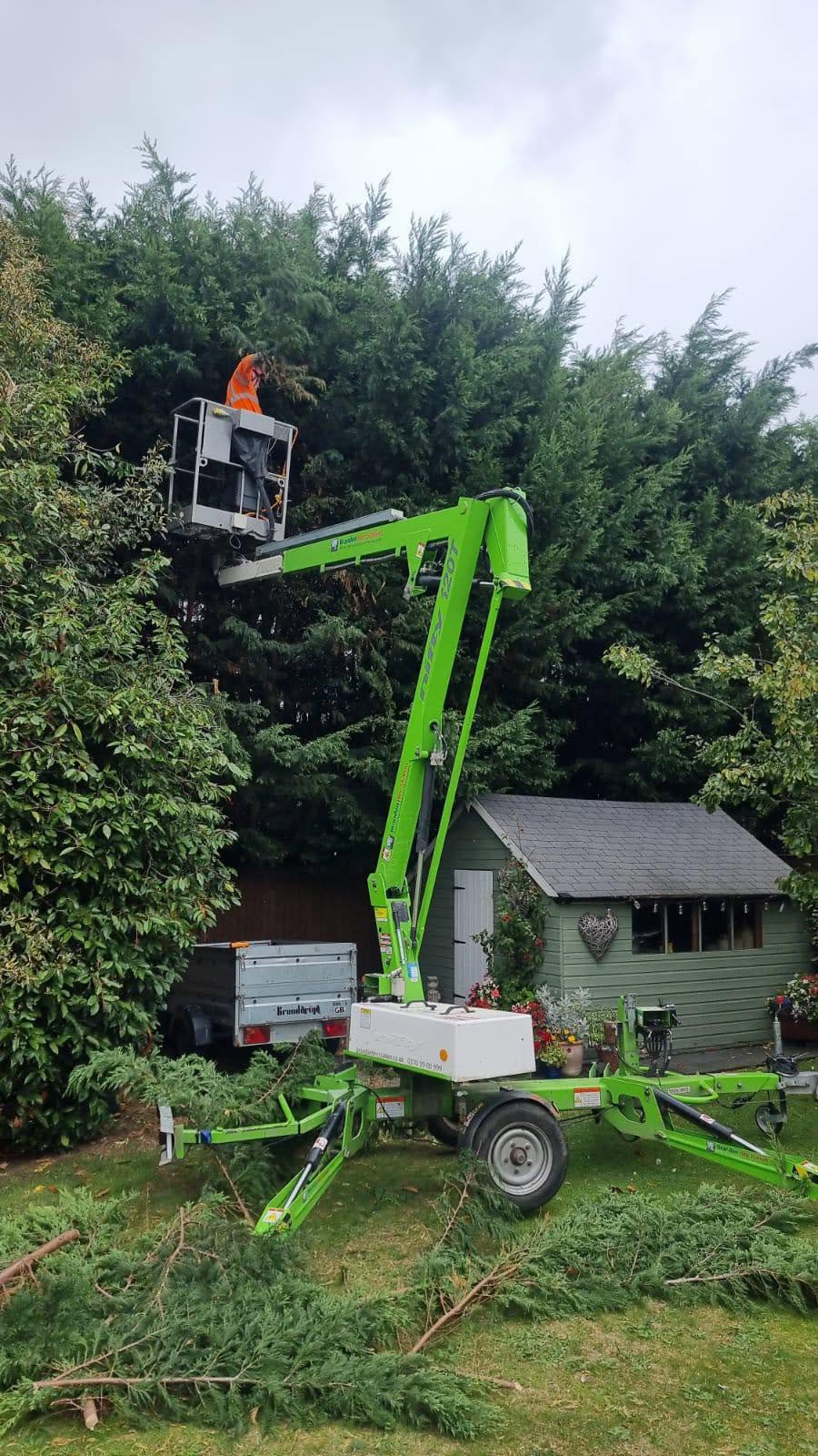 RSM Tree Services equipment and operator hire