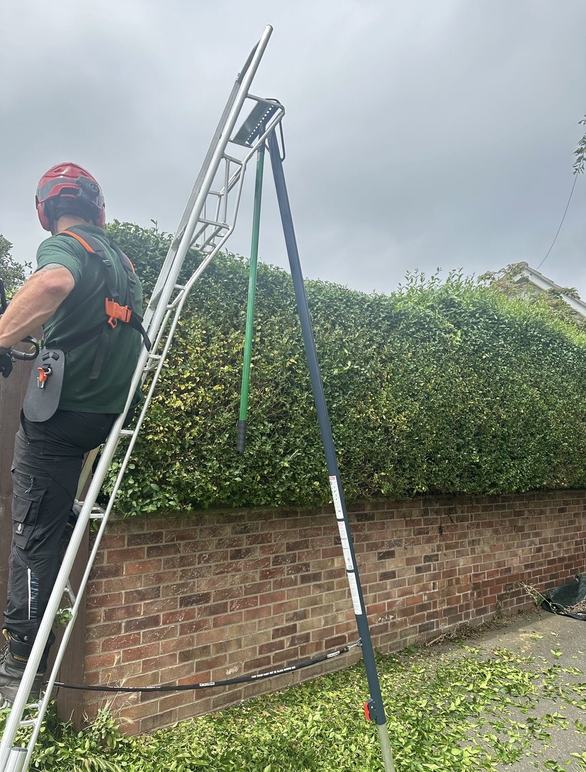 RSM Tree Services carrying out hedge cutting and maintenance