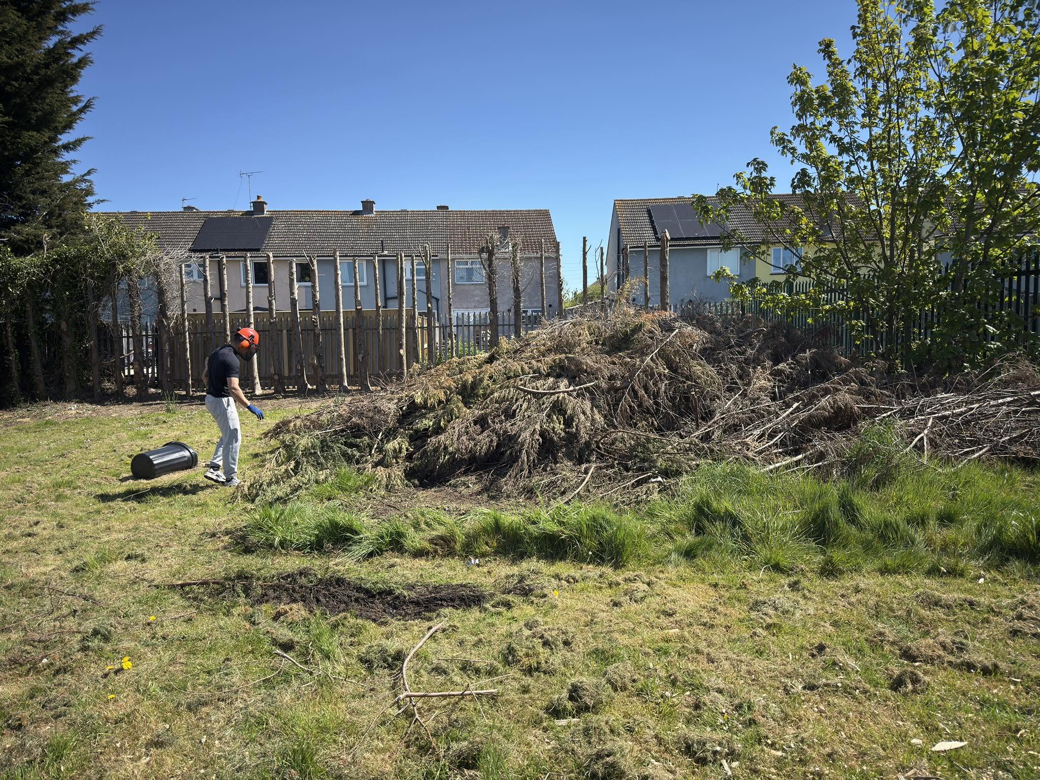 RSM Tree Services carrying out vegetation and site clearance